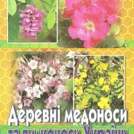 Деревні медоноси та пилконоси України (літні та осінні).