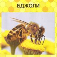 Бджоли.