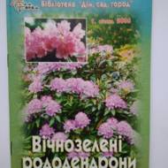 Вічнозелені рододендрони.