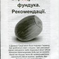 Вирощування фундука.Рекомендації.