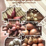 Методичні підходи до селекційного процесу та насінництва цибулі шалот.