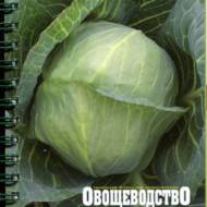 Визначник хвороб і шкідників капусти (рос.мовою).