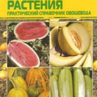 Баштанні рослини. Практичний довідник городника (рос.мовою).