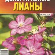 Декоративні ліани (рос. мовою).