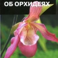 Все про орхідеї (рос.мовою).