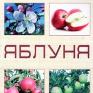 Помологія. Яблуня.