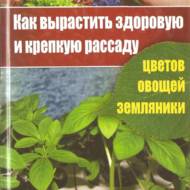 Як виростити здорову і міцну розсаду квітів, овочів, суниці (рос. мовою).