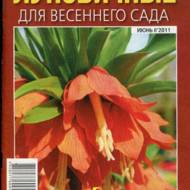 Цибулинні для весняного саду (рос.мовою).