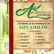 Аптека в городі (рос.мовою).