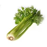 Сельдерей листовой Зефир за 0,5 г