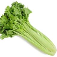 Сельдерей черешковый Паскаль за 0,5 г