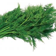 Укроп Амброзия