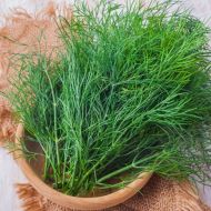 Укроп Кустовой