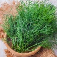 Укроп Кустовой