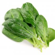 Шпинат