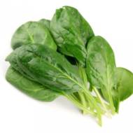 Шпинат