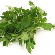 Кориандр (Кинза)