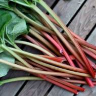 Ревень за 0,5 г