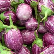 Баклажан Матросик за 30 нас.