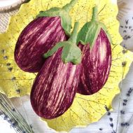 Баклажан Матросик за 0,25 г