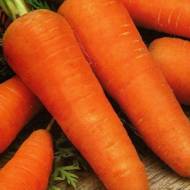 Морковь Cмаковница за 10 г