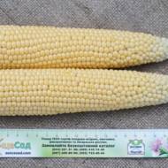 Кукуруза Иллинойс