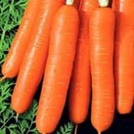 Морковь Медовый поцелуй за 20 г