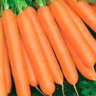 Морква Вовка-морковка за 20 г