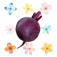 Свекла столовая Винегрет за 20 г