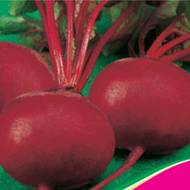 Свекла столовая Мармеладка