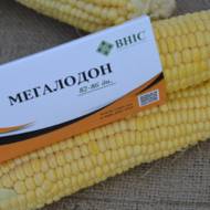 Кукурудза Мегалодон