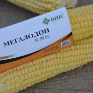 Кукуруза Мегалодон