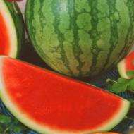 Арбуз Голопристанский за 2 г