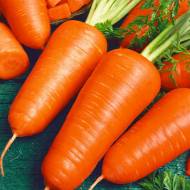 Морква Талісман