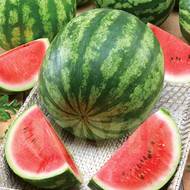 Арбуз Мелитопольский за 2 г