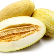 Дыня Торпеда за 2 г