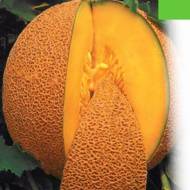 Дыня Медовый аромат за 1 г