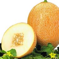 Дыня Карамель за 1 г