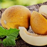 Дыня Инея за 2 г