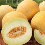 Дыня Титовка