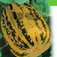 Дыня Конфетка за 0,2 г
