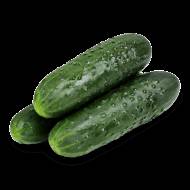 Огірок Грація F1 за 10 нас.
