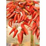 Паприка Бактянець за 10 нас.