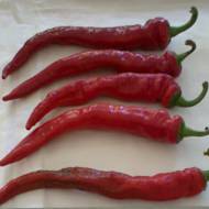 Паприка Берегівська за 10 нас.