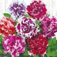 Петуния махровая Пируэт смесь F1 за 10 сем.