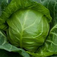 Капуста Июньская