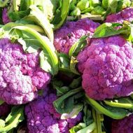 Капуста Сицилийская фиолетовая за 0,1 г