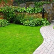 Газонна трава Рятівник