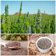 Чиа (шавлия испанская) за 20 г