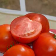 Томат Бобкат F1 за 10 нас.